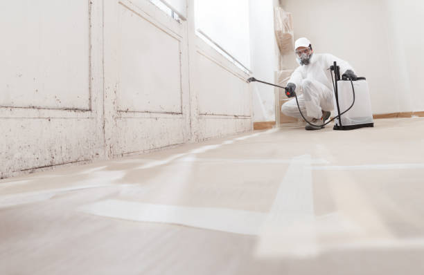 24/7 Emergency Mold Cleanup experts in Louisville, IL